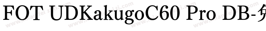 FOT UDKakugoC60 Pro DB字体转换